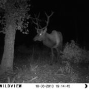 hunting13