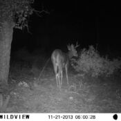 hunting3