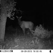hunting5