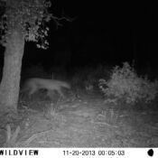 hunting7